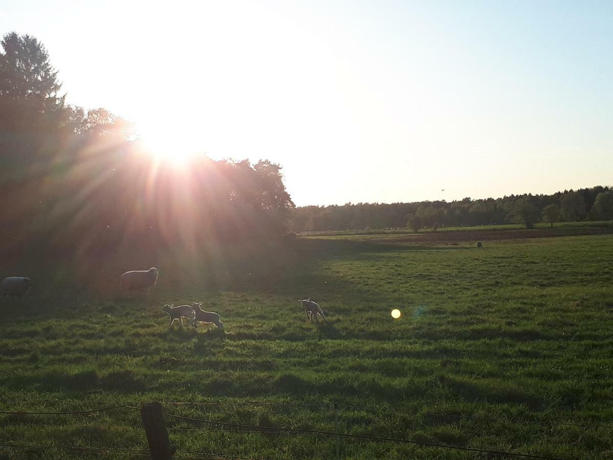 Schoene Komplette Ferienwohnung In Wesel Wesel  Exteriér fotografie